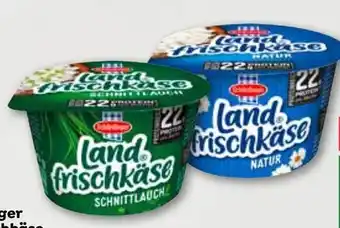 ADEG Schärdinger Landfrischkäse Angebot