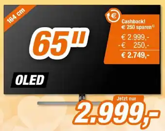 Expert OLED-TV 856 Angebot