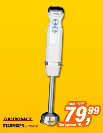 Expert Stabmixer Angebot