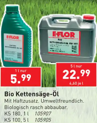 Bio Kettensäge-ÖL 5L
