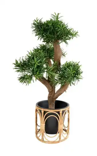 XXXLutz Pflanztopf Angebot