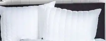 Möbel Ludwig Kissen Angebot