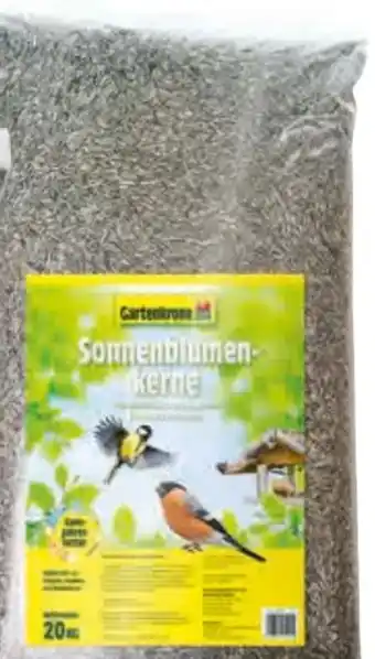 Hagebau Sonnenblumenkerne Angebot