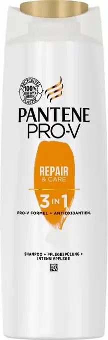 dm Shampoo Angebot