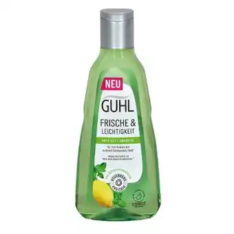 dm Shampoo Angebot