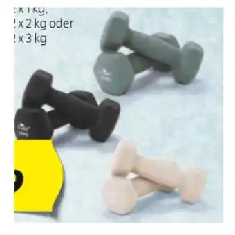 Hofer Crane hantel-set hofer 2 stück 1 set Angebot