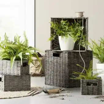 Mömax Modern living korb „vien“ 5825004101 mömax 1 stück Angebot