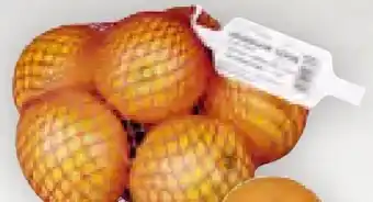 Billa Orangen Angebot