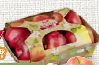 Billa Bio äpfel Angebot