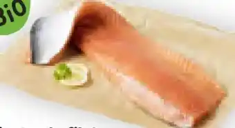 Billa Bio lachsfilet Angebot