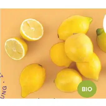 MPreis Bio zitronen mpreis 500 gramm 1 netz Angebot