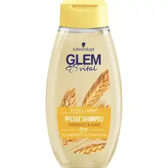 MPreis Glem vital shampoo verschiedene sorten mpreis 350 milliliter 1 flasche Angebot