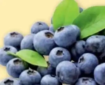 PENNY Heidelbeeren Angebot