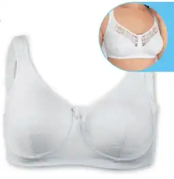 PENNY Damen soft bh Angebot