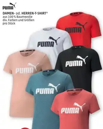 PENNY Damen t-shirt Angebot
