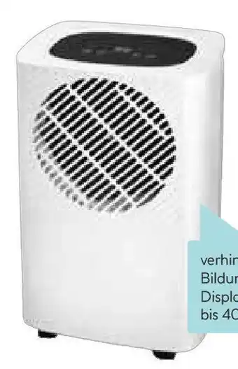 Hellweg Luftentfeuchter ,,TECH" Angebot