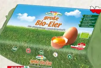 Eurospar Bio-eier Angebot