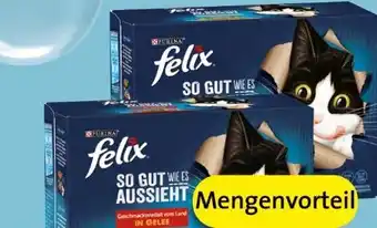 Spar Felix katzennahrung Angebot