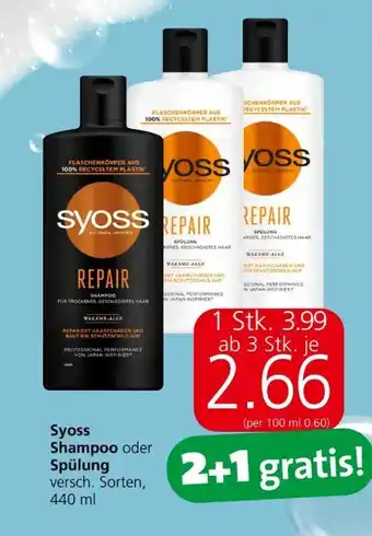 Spar Shampoo Angebot