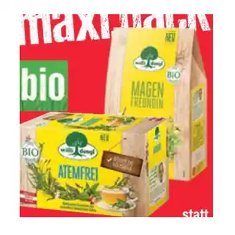 Maximarkt Willi dungl bio-tee versch. sorten maximarkt 1 packung Angebot