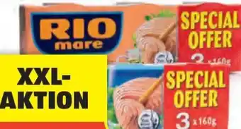 Hofer Thunfisch Angebot