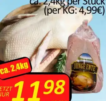 Wurstico Junge Ente tiefgekühlt Angebot