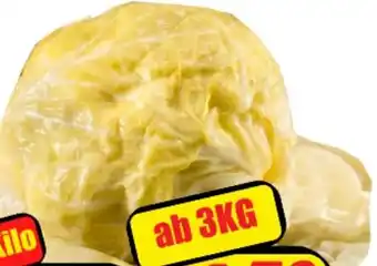 Wurstico Sarmakraut div. Hersteller Angebot