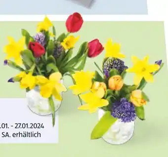 Hofer BLUMENSTRAUSS FRÜHLINGSERWACHEN" Angebot