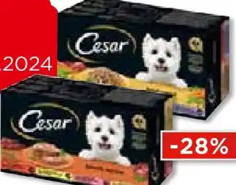Unimarkt Hundenahrung schale Angebot