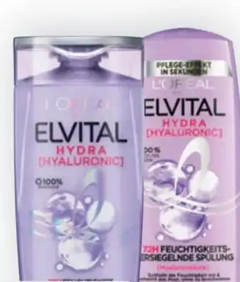 Bipa Elvital shampoo Angebot