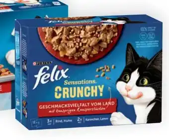 Bipa Felix katzenfutter Angebot