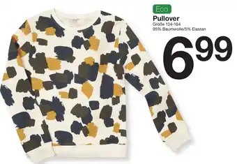 Zeeman Pullover Angebot