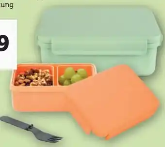 Lidl ERNESTO Lunchbox Angebot