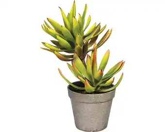 Hornbach Kunstpflanze aloe plicatilis höhe: 30 cm grün Angebot