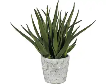 Hornbach Kunstpflanze aloe höhe: 44 cm grün Angebot