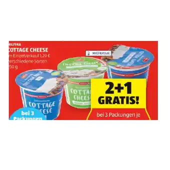 Hofer Milfina cottage cheese versch. sorten hofer 250 gramm 1 becher Angebot