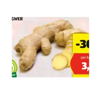 Hofer Hofer marktplatz bio-ingwer hofer 1 kilogramm Angebot