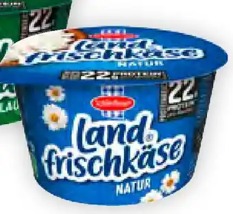 Billa Schärdinger Landfrischkäse Angebot