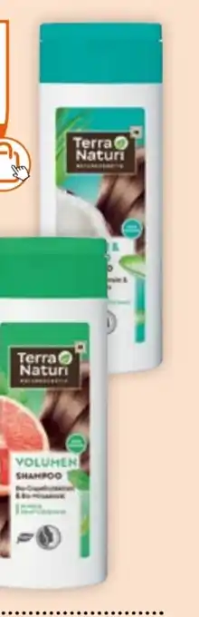 Müller Shampoo Angebot