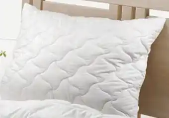 Reiter Polster Microban Angebot