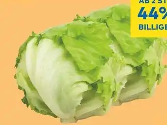 T&G Eissalat Angebot