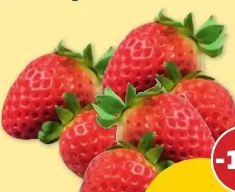 PENNY ERDBEEREN Angebot