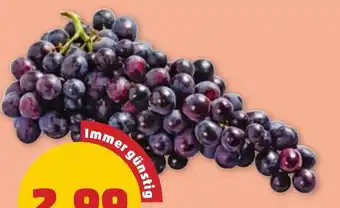 PENNY TRAUBEN ROT, KERNLOS Angebot