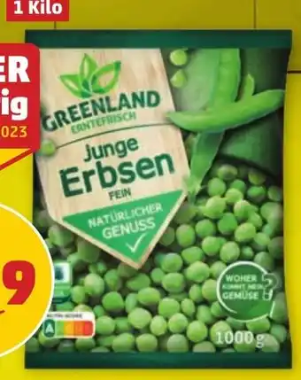 PENNY JUNGE ERBSEN Angebot