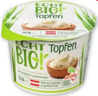 PENNY TOPFEN Angebot