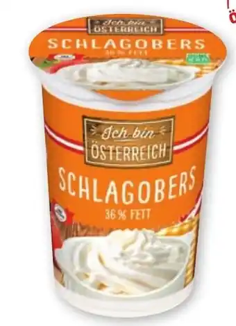 PENNY SCHLAGOBERS Angebot