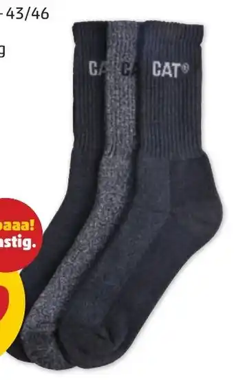 PENNY CAT SOCKEN Angebot