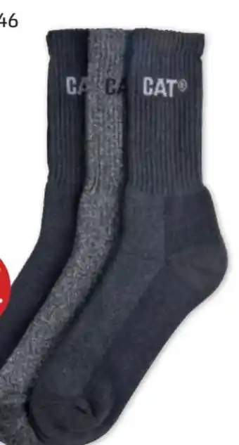 PENNY Herren socken Angebot