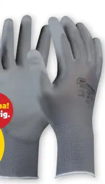 PENNY Handschuhe microflex Angebot