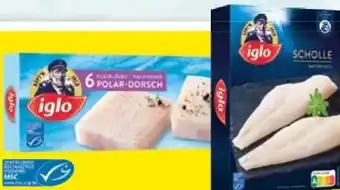 Maximarkt Scholle Angebot